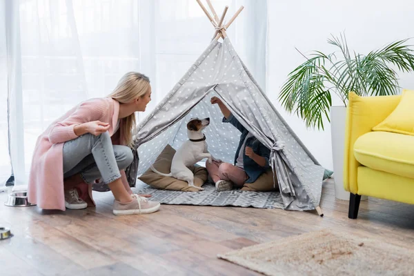 Kid and jack russell terrier playing in tent near smiling mom at home — Foto stock