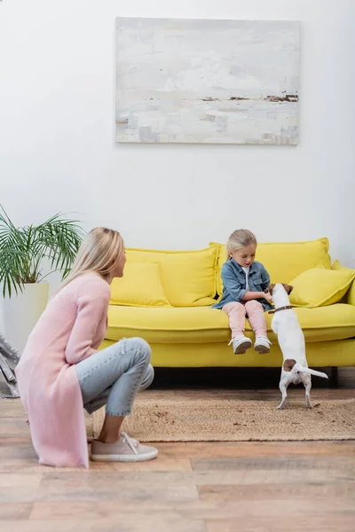 Child playing with jack russell terrier on couch near mom at home - foto de stock