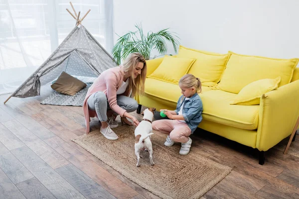 Child holding ball near jack russell terrier near mom and couch at home — Fotografia de Stock