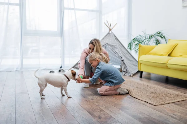 Kid and mom holding toy near jack russell terrier at home - foto de stock