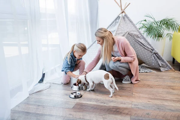 Mother and kid feeding jack russell terrier near teepee at home — Stock Photo
