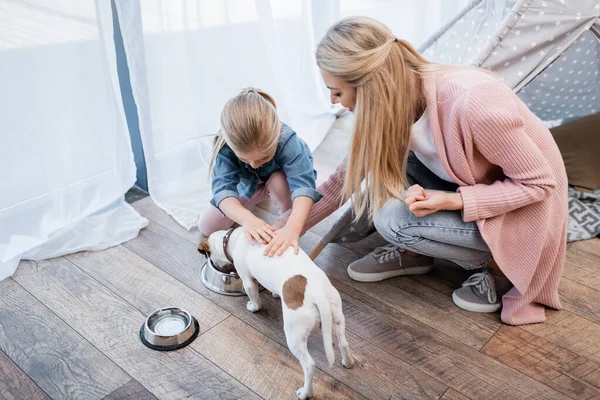 Child and mom feeding jack russell terrier near tent at home — стоковое фото