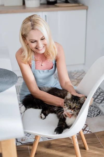 Positive woman in apron petting cat on chair at home — Stock Photo