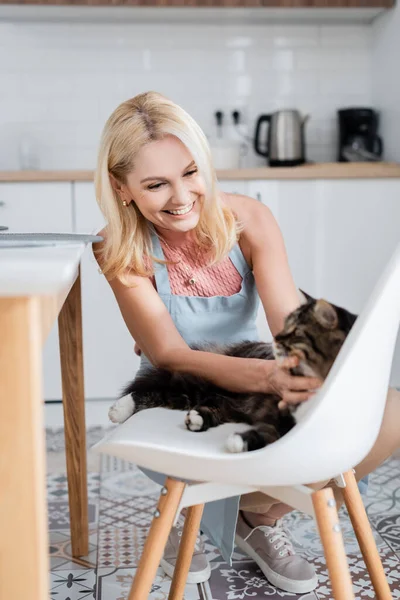 Sorrindo mulher no avental de estimação gato na cozinha — Fotografia de Stock