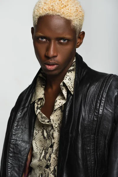 Blonde african american man in leather jacket and snakeskin print shirt isolated on grey — Stock Photo