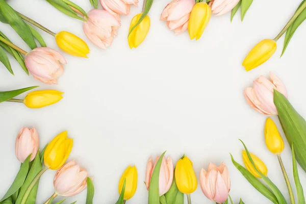 Vue de dessus des tulipes colorées isolées sur blanc — Photo de stock