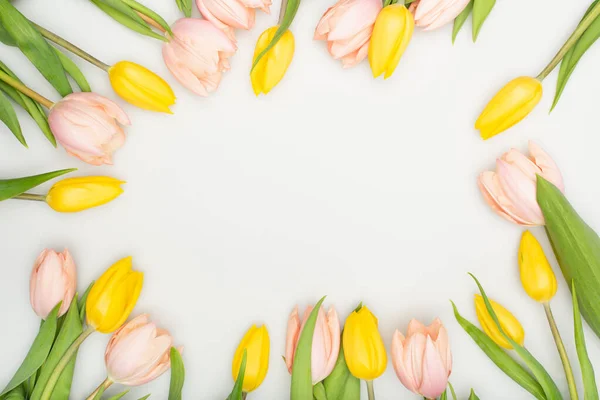 Top view of colorful tulips isolated on white — Stock Photo