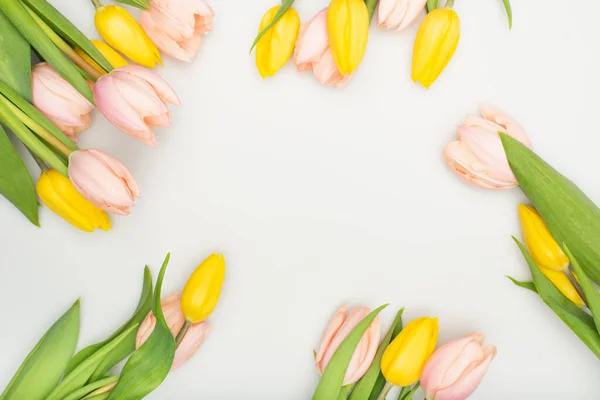 Top view of colorful flowers isolated on white — Stock Photo