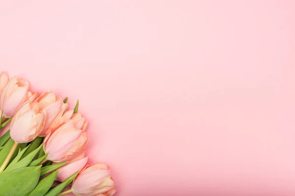 Vista superior del ramo de tulipanes aislados en rosa - foto de stock