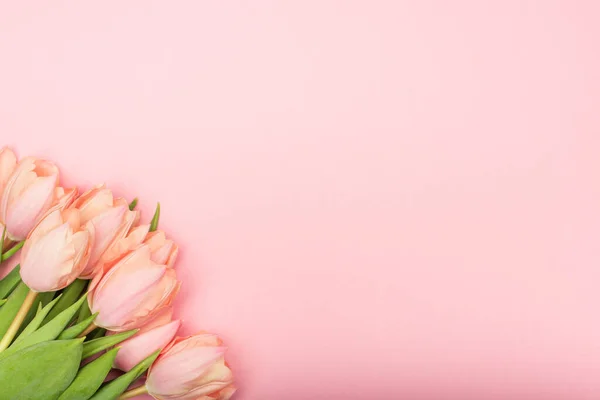 Vue de dessus du bouquet de tulipes isolées sur rose — Photo de stock