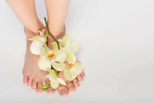 Vista parcial de la mujer con orquídea en los pies sobre fondo blanco - foto de stock