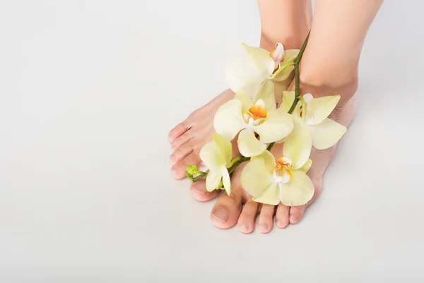 Cropped view of woman with orchid on feet on white background — Stock Photo