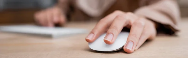 Selective focus of computer mouse in hand of cropped woman working at home, banner — Stock Photo