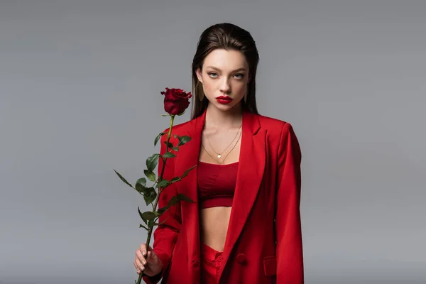 Mujer joven en traje rojo sosteniendo rosa aislada en gris - foto de stock