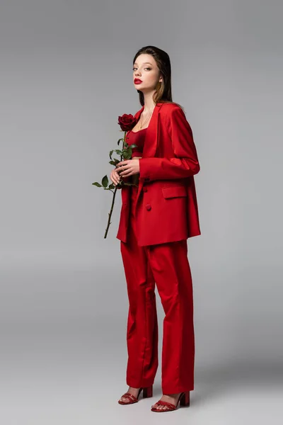 Полная длина молодой женщины в модном красном костюме держа розу, стоя на темно-сером — стоковое фото