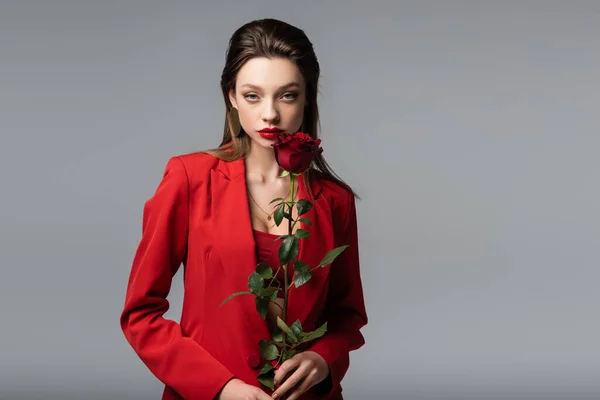 Молода брюнетка в червоному блістері тримає троянду ізольовано на сірому — стокове фото