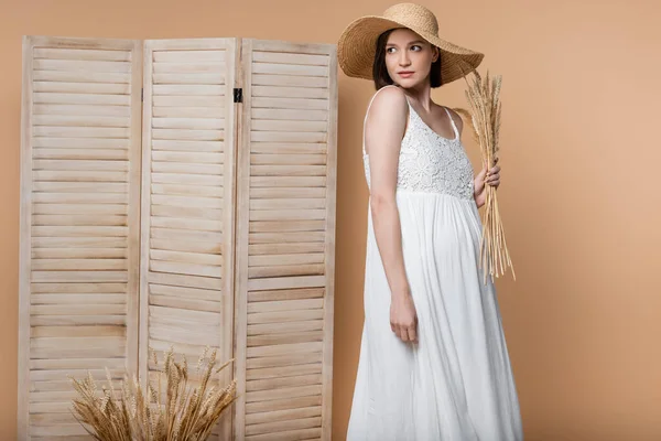 Mulher grávida na moda em chapéu de palha posando com espiguetas isoladas em bege — Fotografia de Stock