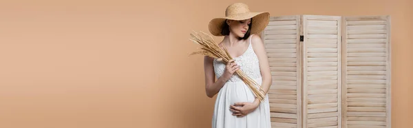 Молода вагітна жінка в сукні торкається живота і тримає колоски біля розкладного екрану ізольовано на бежевому, банер — стокове фото
