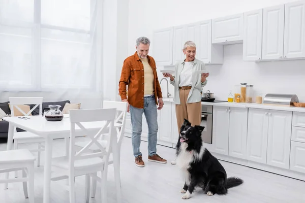 Cheerful woman holding plates near husband and border collie in kitchen — Stock Photo