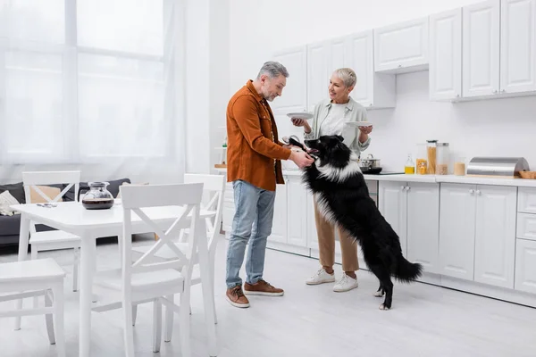 Mature man petting border collie near wife with plates in kitchen — Stock Photo