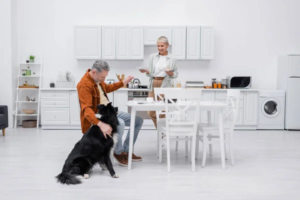 Smiling senior woman holding plates near husband petting border collie in kitchen — Stock Photo