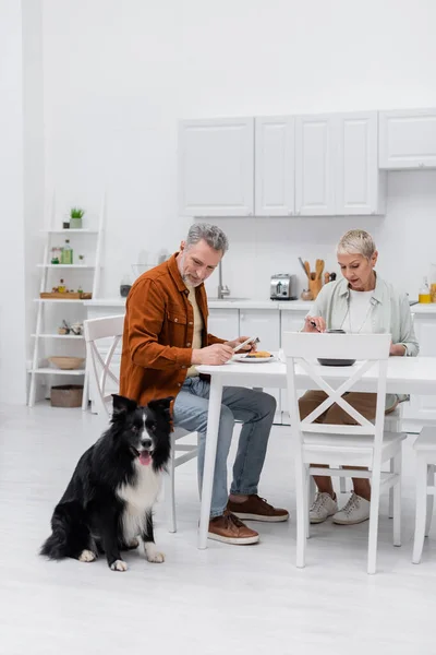 Homme regardant collie frontière près du petit déjeuner et femme dans la cuisine — Photo de stock