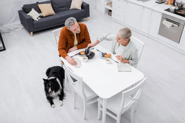 Vista aerea della donna anziana versando caffè vicino al marito, colazione e confine collie in cucina — Foto stock