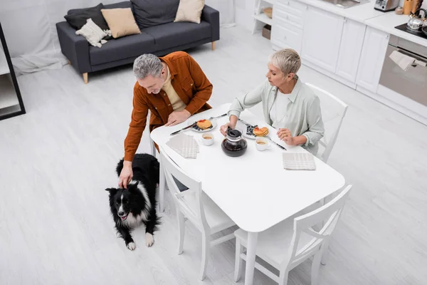 Overhead view of man petting border collie near wife and breakfast in kitchen — Stock Photo