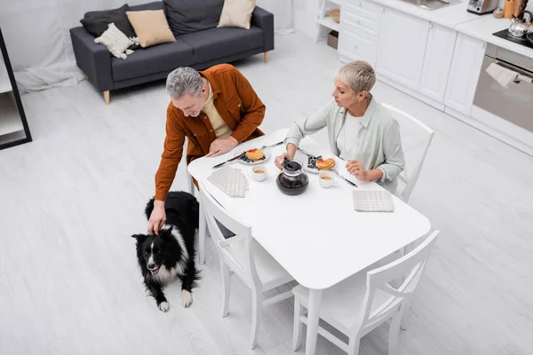 Vista aérea del hombre acariciando frontera collie cerca de la esposa y desayuno en la cocina - foto de stock