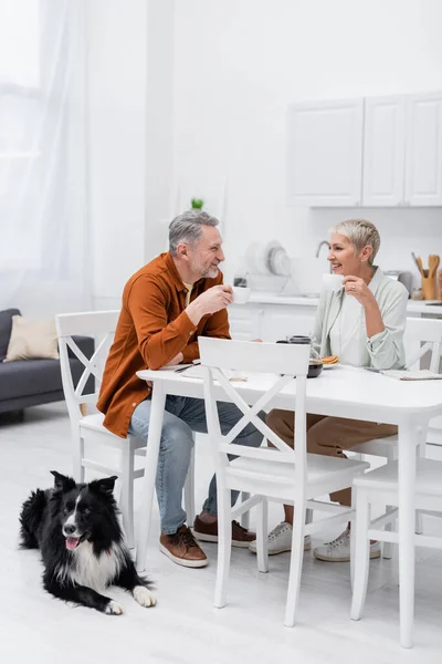 Sonriente pareja sosteniendo tazas de café cerca del desayuno y frontera collie en la cocina - foto de stock