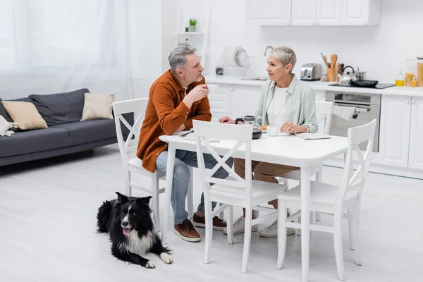 Paar redet beim Frühstück nahe Border Collie Hund in Küche — Stockfoto