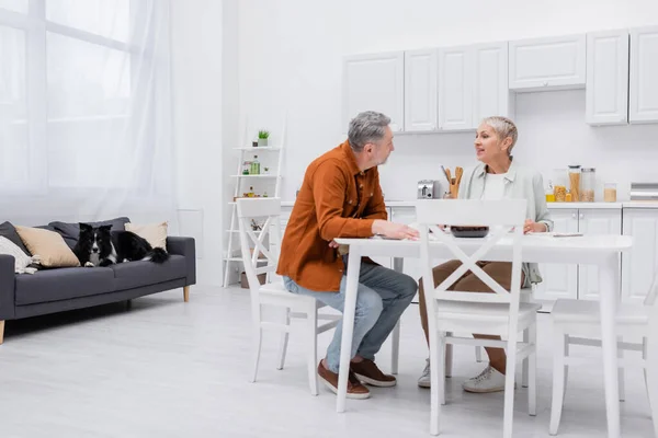 Lächelnde Seniorin im Gespräch mit Ehemann in der Nähe von Border Collie auf Couch in Küche liegend — Stockfoto