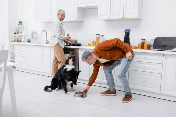 Homem maduro colocando tigela com alimentos perto de fronteira collie cão e alegre esposa cozinhar na cozinha — Fotografia de Stock