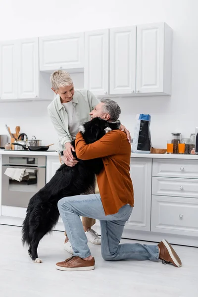 Sourire homme étreignant frontière collie près de femme dans la cuisine — Photo de stock