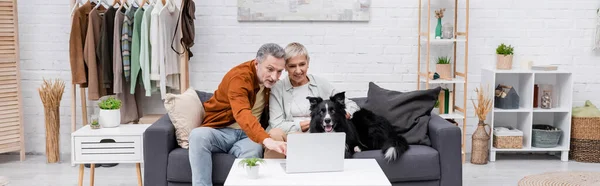 Alegre pareja mirando portátil cerca frontera collie en sofá en sala de estar, pancarta - foto de stock