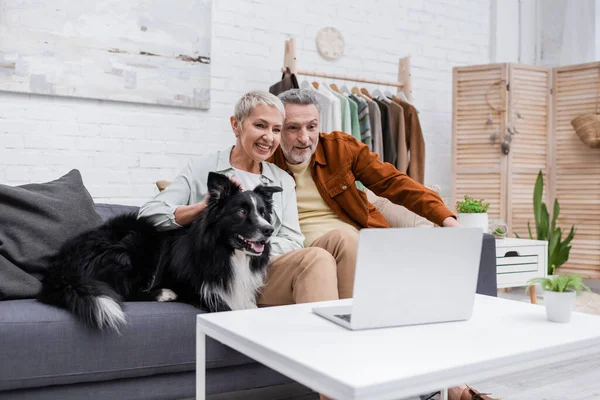 Positive couple looking at blurred laptop near border collie on couch — Stock Photo