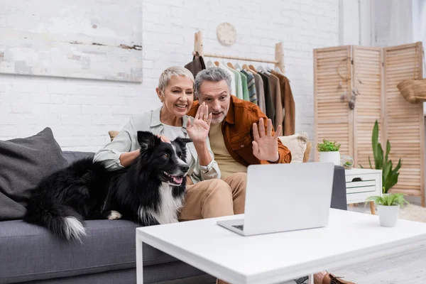 Happy couple having video call on laptop near border collie on couch at home — Stock Photo