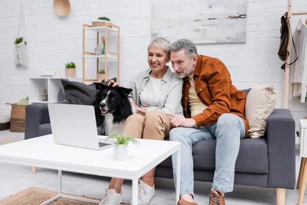 Mature homme regardant ordinateur portable près de la femme et la frontière collie chien sur le canapé — Photo de stock