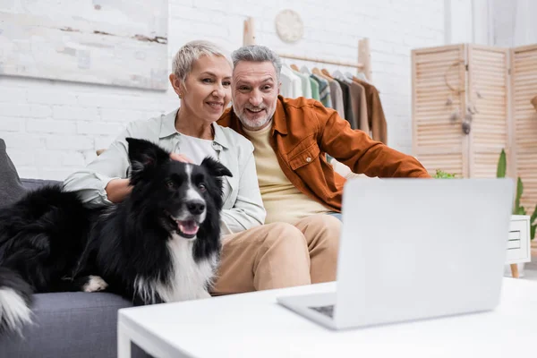 Casal olhando para laptop desfocado no conto de café perto de border collie no sofá em casa — Fotografia de Stock