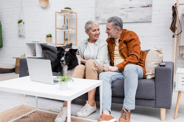 Positives Paar spricht in der Nähe von Border Collie und Laptop zu Hause — Stockfoto