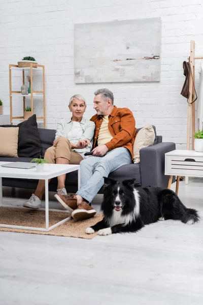 Couple talking while watching tv near laptop and border collie at home — Stock Photo