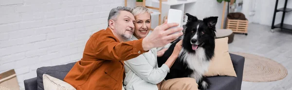 Reifer Mann macht Selfie auf Smartphone in der Nähe von Frau und Border Collie im Wohnzimmer, Banner — Stockfoto