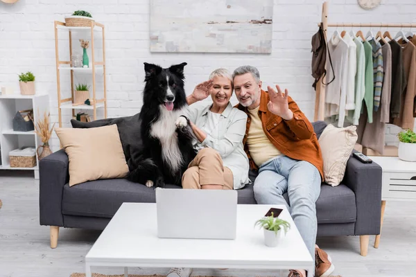 Alegre pareja teniendo videollamada en portátil cerca de frontera collie en sofá en sala de estar - foto de stock