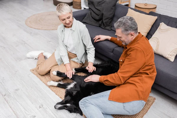 Pareja positiva acariciando frontera collie en sala de estar - foto de stock