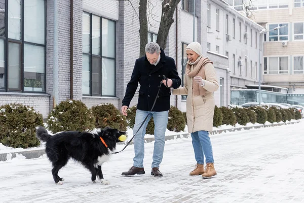 Fröhliche Seniorin sieht Ehemann im Winter draußen mit Border Collie spielen — Stockfoto