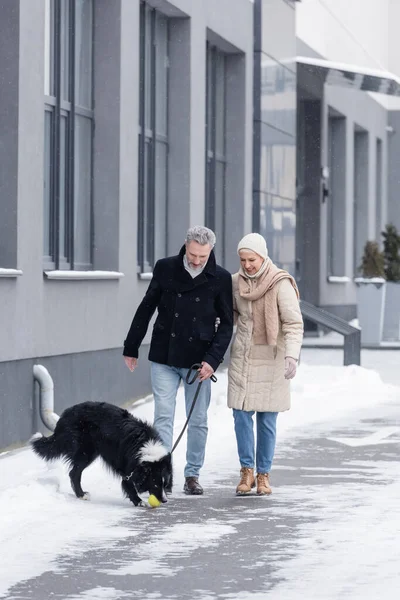 Smiling couple looking at border collie playing with ball on street in winter — Stock Photo