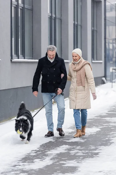 Happy woman in winter outfit walking near husband and border collie with ball on urban street — Stock Photo