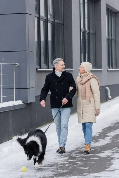 Couple in winter outfit talking while walking on leash border collie on urban street — Stock Photo