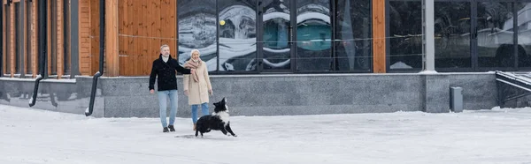 Border collie running near couple in winter outfit and ball on street, banner — Stock Photo