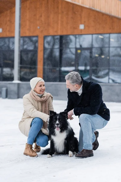 Happy senior woman in winter outfit looking at husband near border collie on snow outdoors — Stock Photo